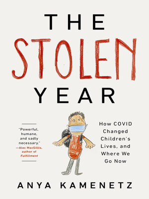cover image of The Stolen Year